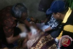 BKSDA terus pancing buaya pemangsa manusia