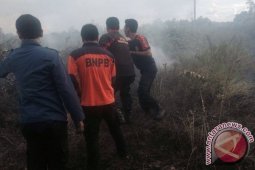 Lima hektare lahan gambut di Jambi terbakar