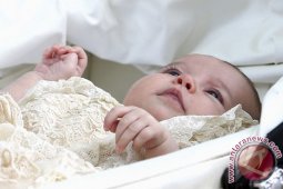 20 bayi dicukur bareng