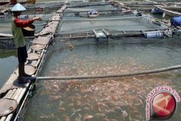 KKP bahas validasi data statistik perikanan di NTB