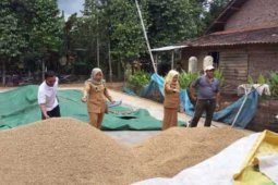 Lampung Surplus Bahan Pangan Hadapi Ramadhan