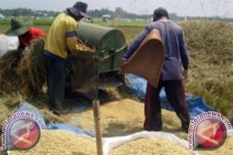 NTP Kalsel Mei Turun 0,33 Persen