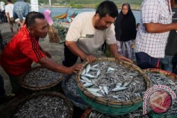 Nelayan Lhokseumawe tidak melaut harga ikan naik