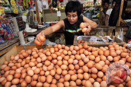 Disnak Kaltim Siapkan Stok Telur 2.260 Ton