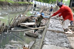 Cegah Abrasi Tanah