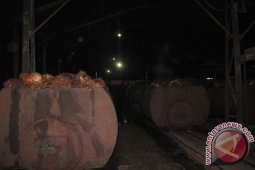 Pabrik Sawit Sapta Di Lubuk Pinang Terbukti Langgar Aturan