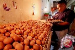 Harga telur ayam ras di Jambi Rp22.400 per kilogram
