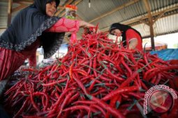 Harga cabai di Aceh Barat turun