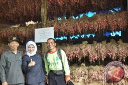 Lapsus: Kotabaru Jadi Pusat Agrobisnis Dan Kepariwisataan