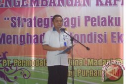 Penyaluran kredit PNM Jambi capai Rp77,5 miliar