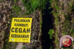BRG : moratorium sawit dan tambang berdampak positif 