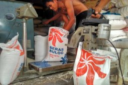 KPPU: Harga Beras Naik karena Masa Panen Turun