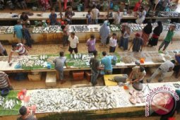 Harga Ikan di Aceh