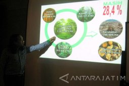 Walhi: 608.913 Ha Hutan Jatim Kritis Akibat Pertambangan