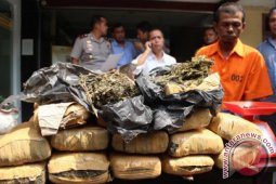 Polisi Abdya tangkap pengedar narkoba