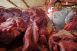 Integrasi Sawit - Sapi PT AAL Pasok 100 Ekor Per Minggu