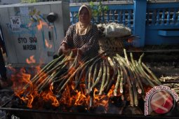 PAKAT ROTAN MANDAILING