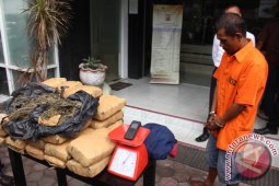 PENANGKAPAN GANJA 30 KILOGRAM