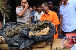 PENANGKAPAN GANJA 30 KILOGRAM