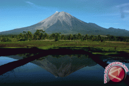 Basarnas: pendaki Swiss dikabarkan hilang di Semeru