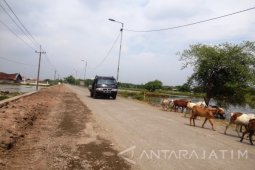 Sidoarjo Anggarkan Rp1,5 Miliar Bangun Jalan Tembus
