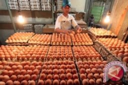 Kaltim Datangkan Telur Penuhi Kebutuhan Ramadhan-lebaran