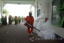 11 Warga Bojonegoro Meninggal Akibat Terserang DBD