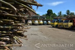 Musim Giling Tebu