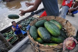 Kebutuhan Buah Daerah Pesisir