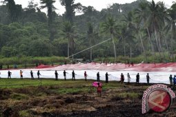 An Intimidation on Journalist in Papua has Broken Democracy