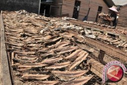 Mengintip "Keumamah" Kuliner Aceh warisan masa perang