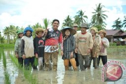 Tanbu Bentuk Desa Mandiri Benih