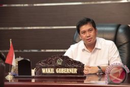 Wagub Berharap Festival Bunga Internasional Lebih Spektakuler