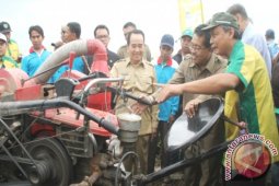Pemprov Kaltim Minta Kabupaten/kota Dukung Pengembangan "Pajale"
