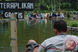 Terapi Ikan Gratis