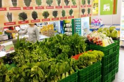 Petani Tangerang Potong Rantai Distribusi