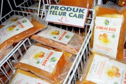 Banyuwangi Produksi Telur Beku 1,5 Ton/Bulan