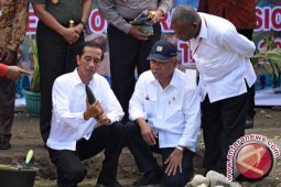 Biaya PON 2020 Papua Tembus Rp10 T