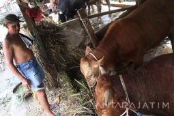 Tabungan Lebaran Perajin Tempe