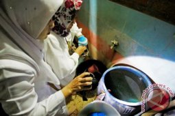 Pemantauan Jentik Nyamuk DBD
