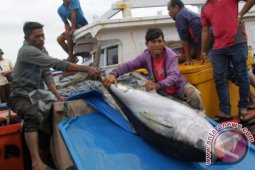 KKP bangun pabrik peyimpanan ikan 200 ton di Sabang