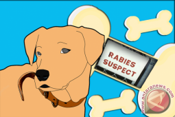 Kalbar - Sarawak Kerja Sama Antisipasi Penyebaran Virus Rabies