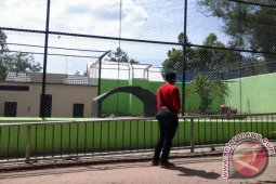 Taman Rimba Jambi tunggu kedatangan Singa