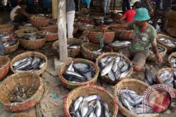 Harga ikan dan ayam di Lhokseumawe melonjak