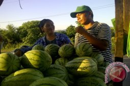 Tapsel Suguhkan Semangka Bagi Pemudik