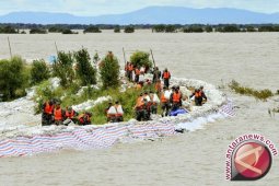 Banjir di China Renggut 100 Nyawa dan Hancurkan Sawah