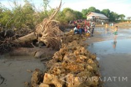 Abrasi Pantai