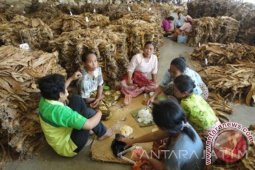 Empat Pengusaha di Bojonegoro Bayar Pinjaman Tembakau