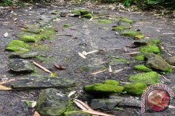 Arkeolog teliti temuan gambar cadas di  Maluku