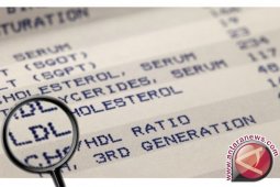Lawan Lonjakan Kolesterol Jahat dengan Teh Pahit